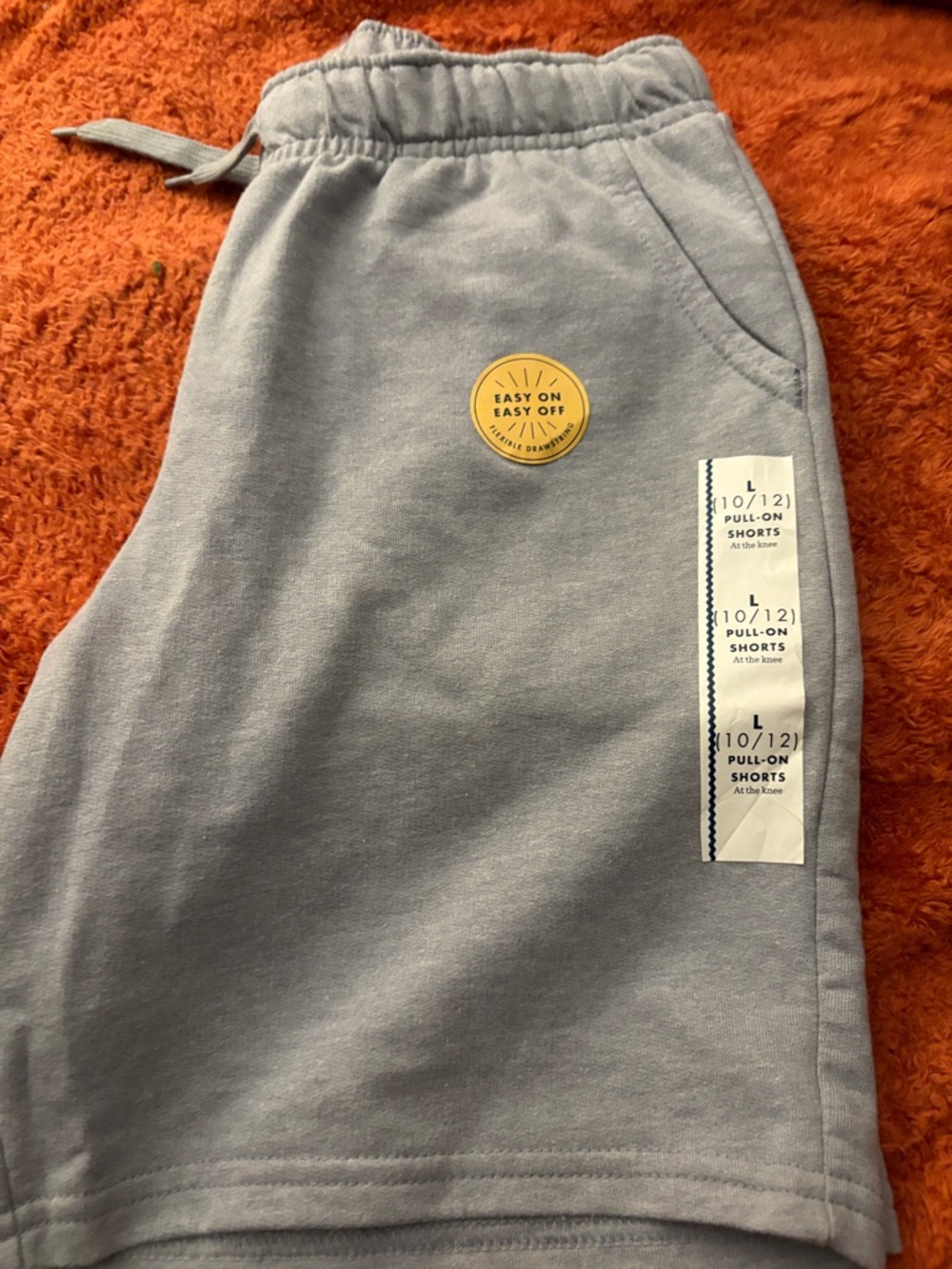 Cat & Jack Light Blue Pull-On Shorts with Pocket Detail